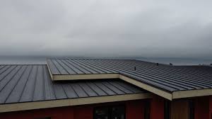 Best Green or Eco-Friendly Roofing Solutions  in Taylor, TX